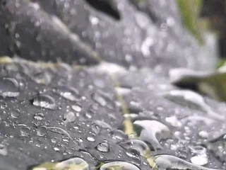 Teknologi Baru Bisa Ubah Hujan  Jadi Sumber Listrik