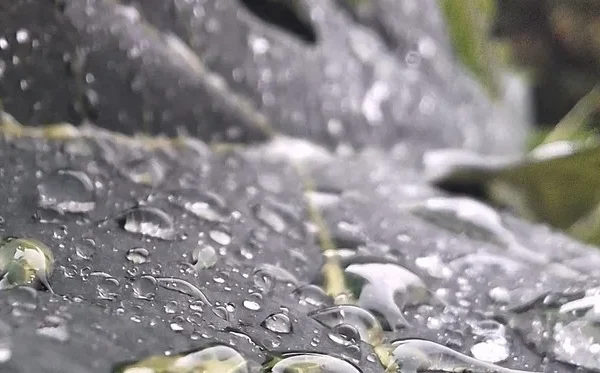 Teknologi Baru Bisa Ubah Hujan  Jadi Sumber Listrik